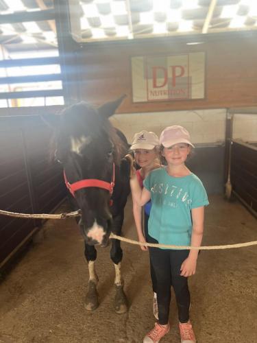 01AA5A5C-A74C-4220-85D3-8C19DD26FEE9