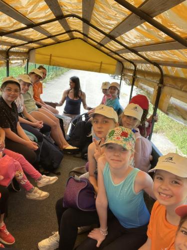 52677BD9-D619-4F79-BF5F-DA56BF06B99E