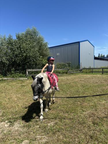 52C83205-8AFD-49A1-9B3D-56B53392BA6A