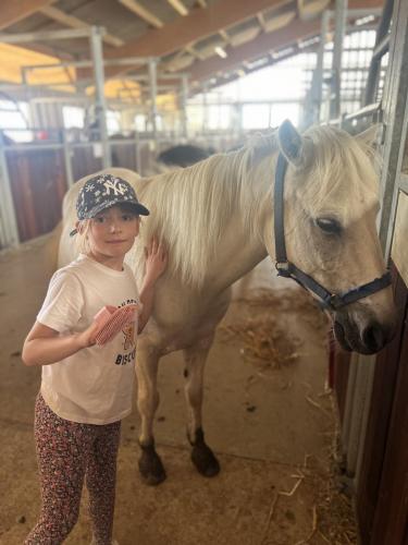 53DA23CB-650D-46B0-88F3-16112484F466