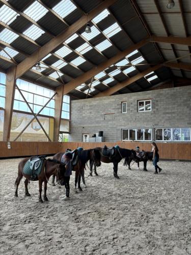 90379927-1D64-477C-AA7C-956B9F9D12A2