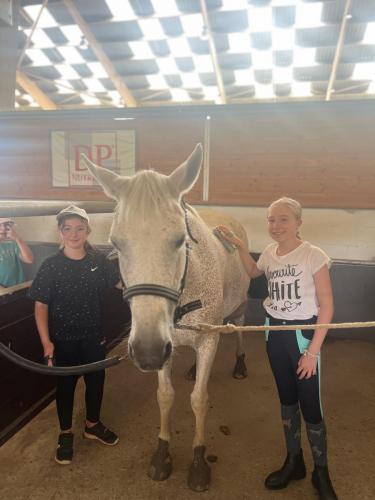 A870486B-6E4B-406A-AAD0-4D2A10AD3D24