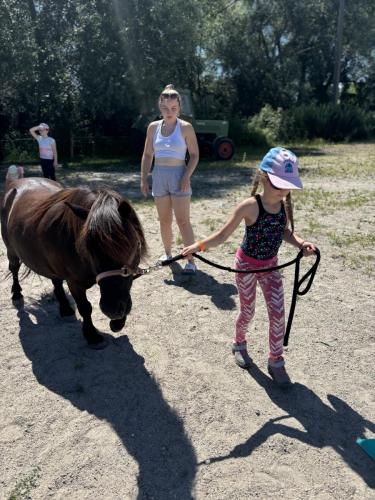 BA9DD0CF-B479-4D53-84D0-9151A9315854