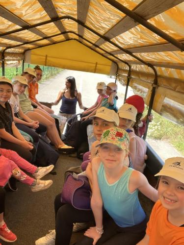 BCDE9B87-8C30-4E0B-A1A4-798E4AD06832