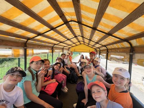 E278818D-0AC9-482F-B631-F50557B1B78E