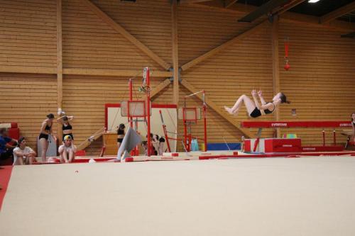 IMG 1057 (1)